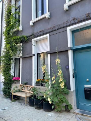 Studio Dageraad Antwerp Luaran gambar